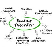 the-effects-of-media-on-the-development-of-eating-disorders