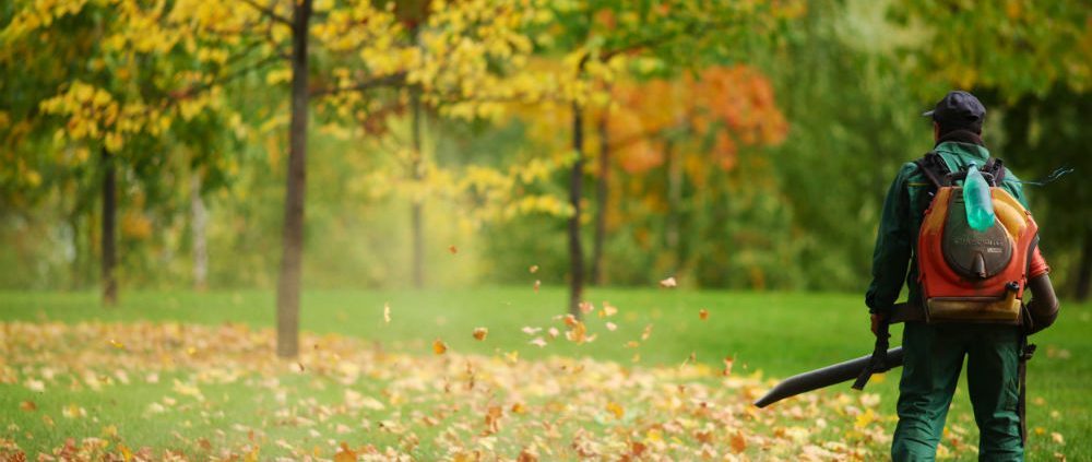 Best Backpack Leaf Blower