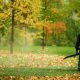 Best Backpack Leaf Blower