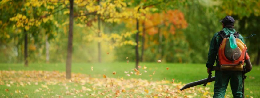 Best Backpack Leaf Blower