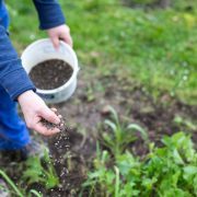 plant-fertilizers