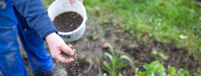 plant-fertilizers