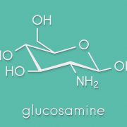 Glucosamine and Chondroitin For Middle Aged Individuals