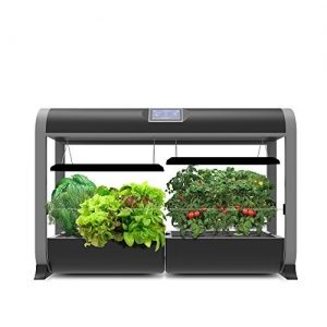 indoor food gardens