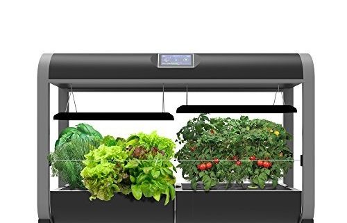 indoor food gardens