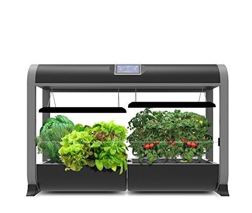 indoor food gardens